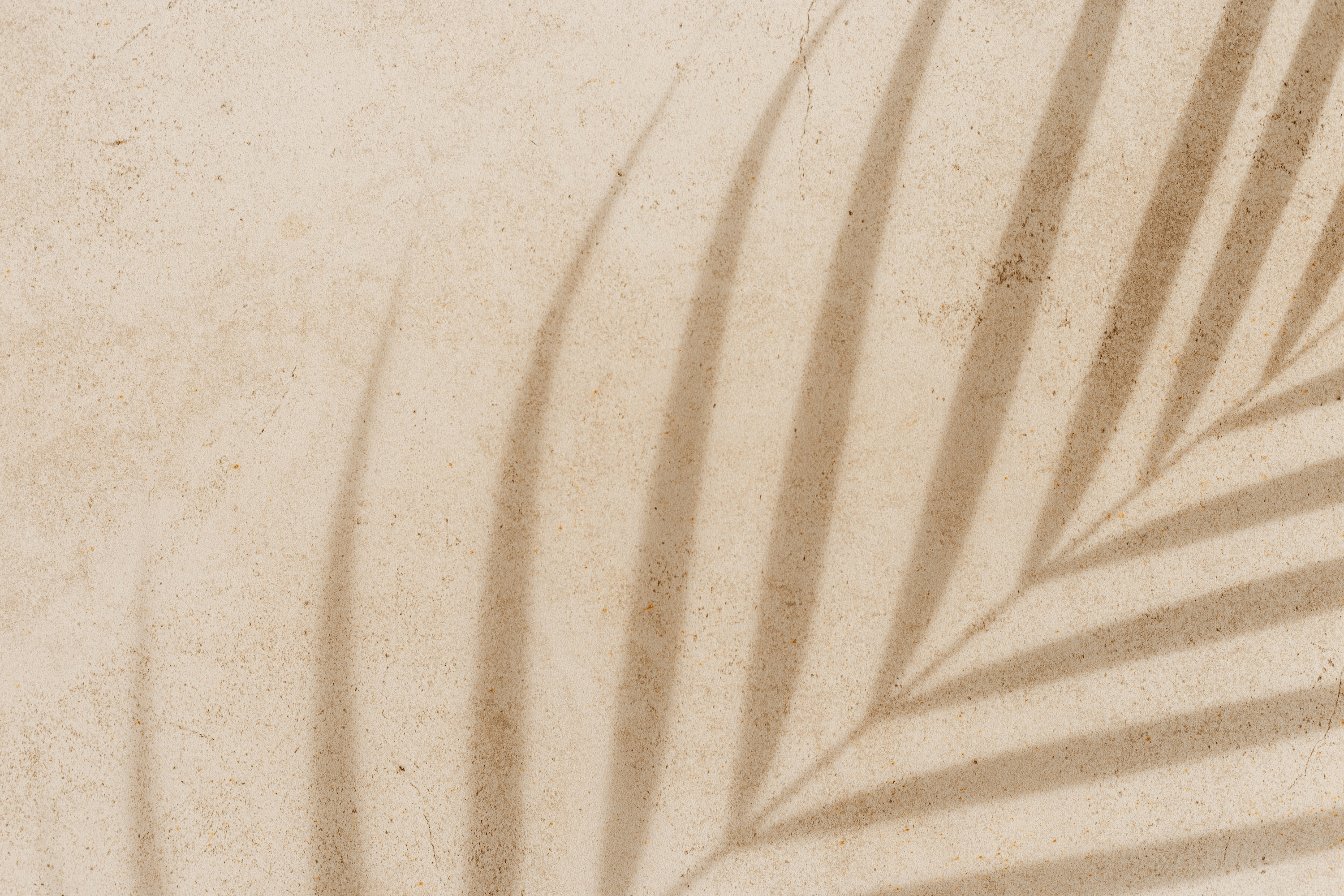 Schatten einer Palme auf einem gelben Sandstrand. Symbolisiert den UV Filter DHHB.